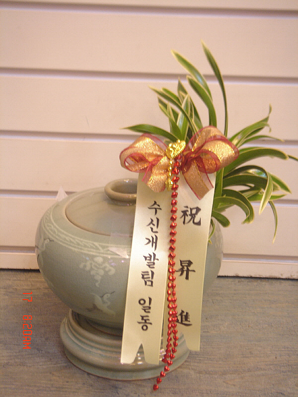 뱹û