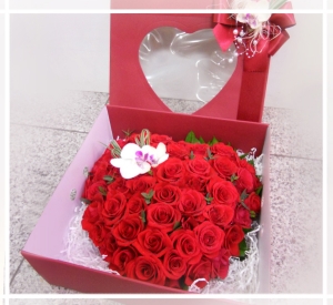 new ̲ɻ